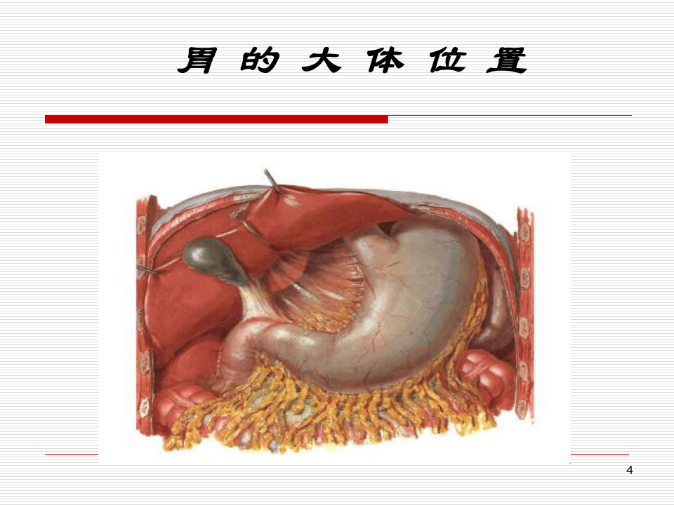 6)胃十二指肠疾病（2012级放射口腔医学班.ppt 第4页