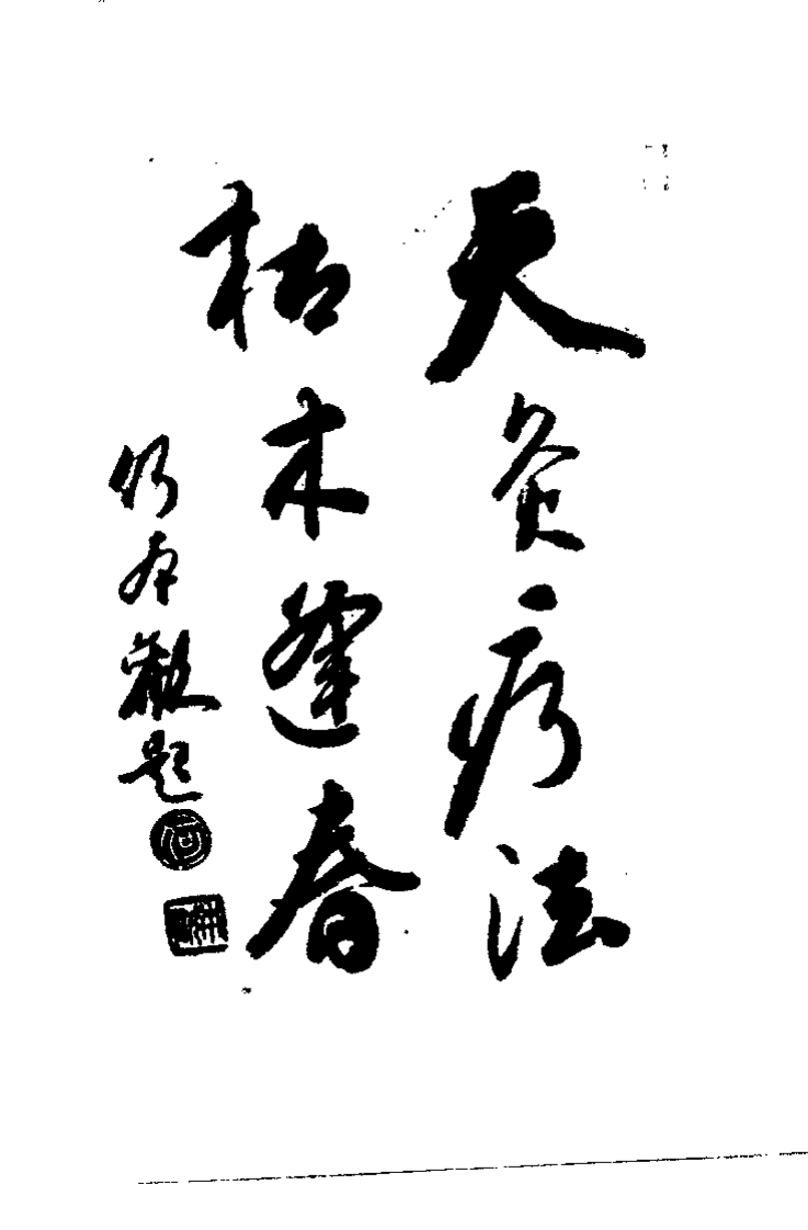 中医天灸疗法（谭支绍）.pdf 第1页