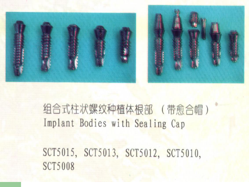 前牙缺失即刻负重修复技术的临床应用.pdf 第5页
