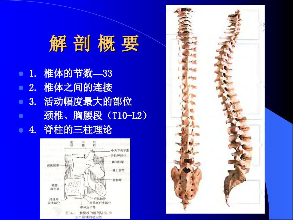 脊柱骨折-中日联谊医院.ppt 第2页