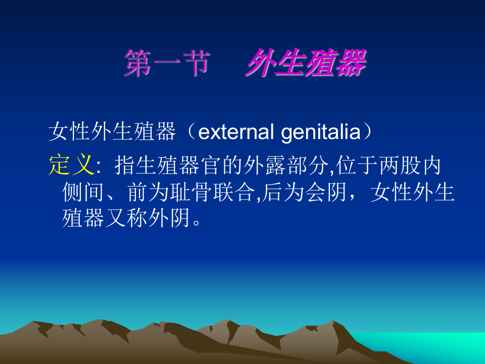 女性生殖系统解剖-中日联谊医院.ppt 第3页