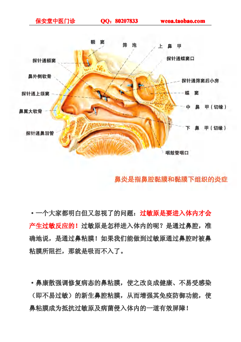 过敏性鼻炎吃什么药.pdf 第2页