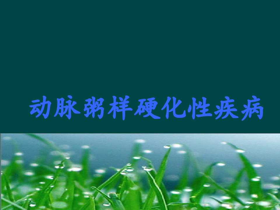 144心血管内科-冠心病(课件).ppt 第3页