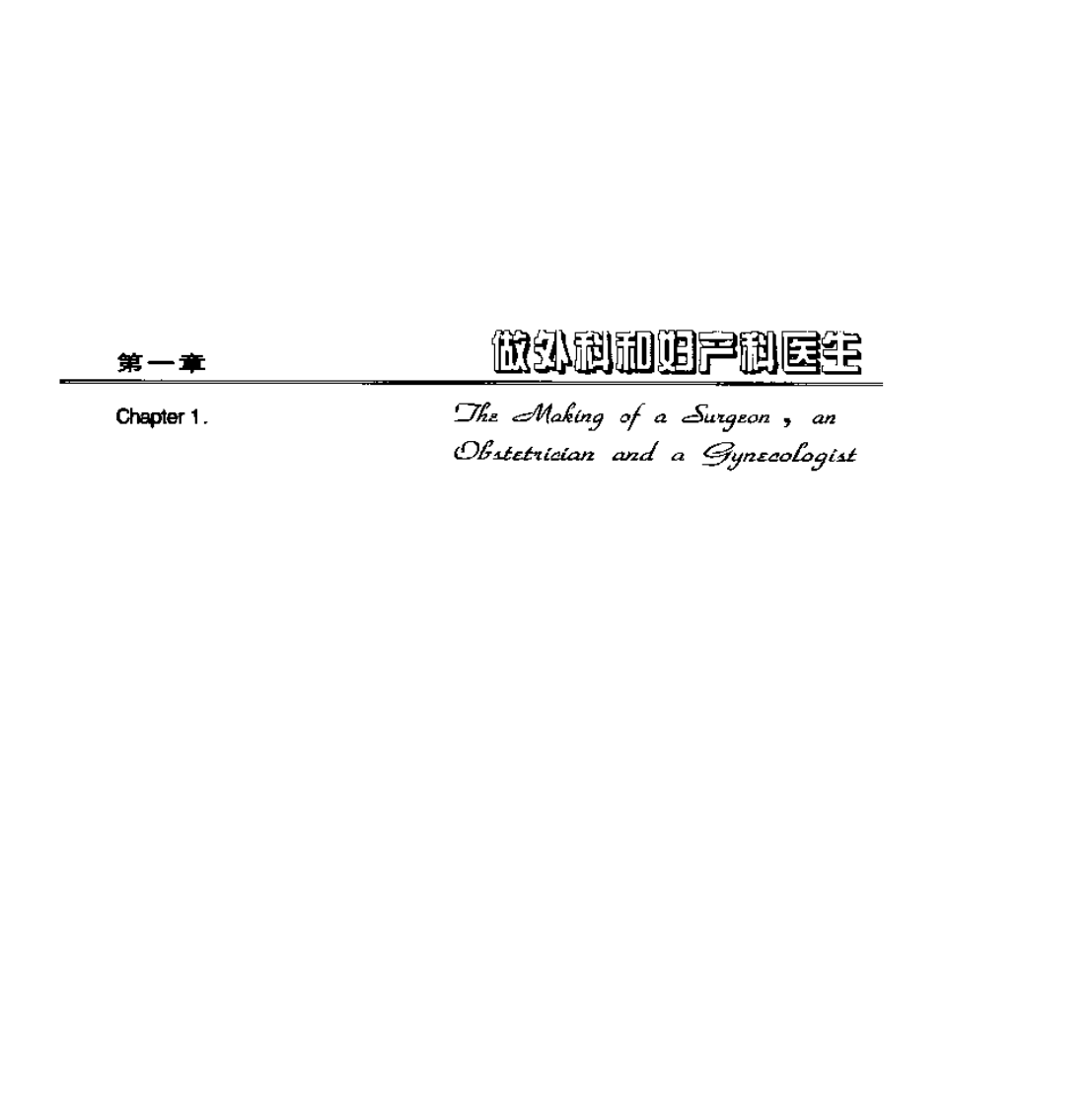 妇科手术笔记（第一卷）.PDF 第1页