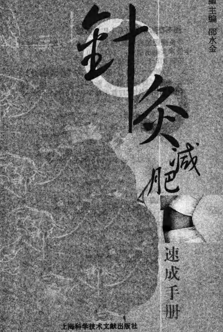 针灸减肥速成手册（超清版）.pdf 第3页