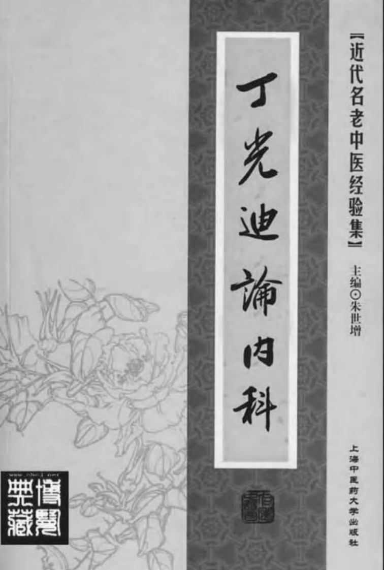 30.丁光迪论内科_部分1.pdf 第2页