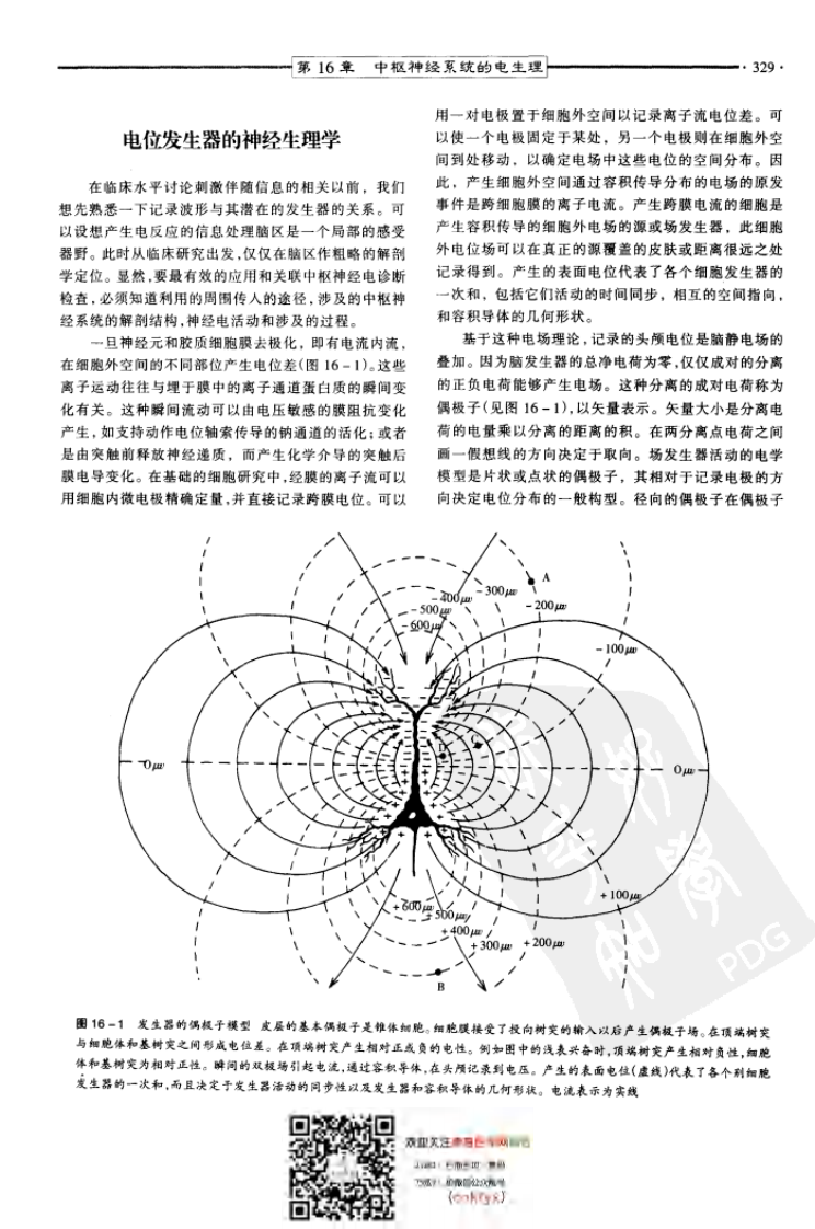 康复医学--理论与实践(CNS电生理).pdf 第2页
