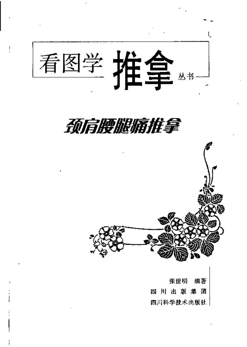 《颈肩腰腿痛推拿》张世明.pdf 第3页