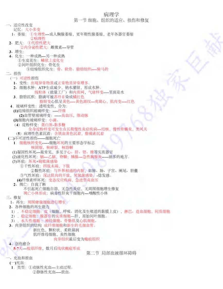 2013年大苗 病理学笔记.pdf 第1页