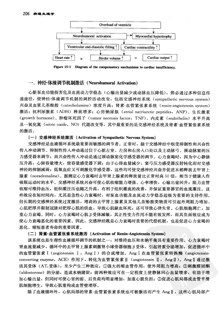 心功能不全-病理生理学.第2版.吴立玲.北京大学医学出版社.2011-2.pdf 第5页