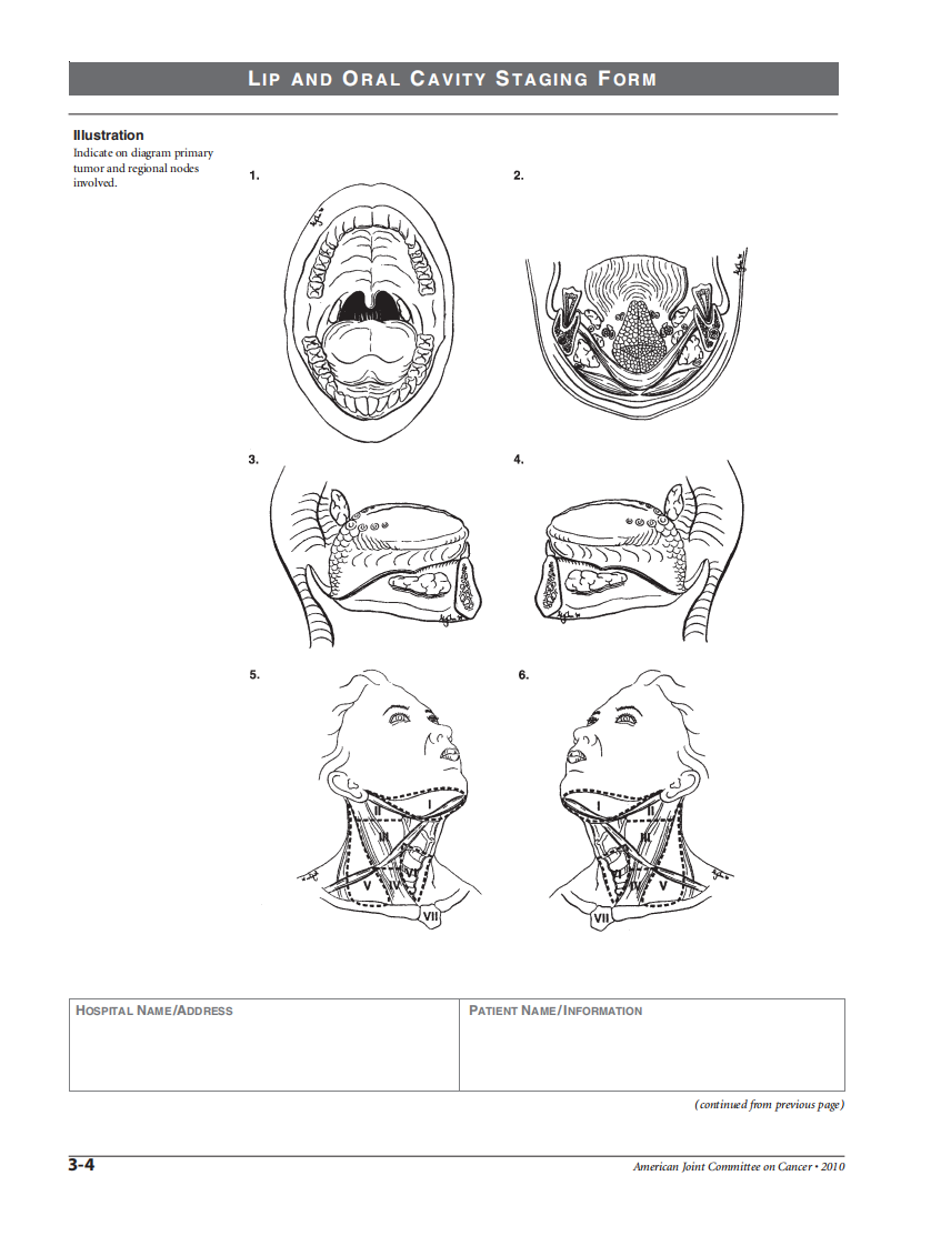 AJCC肿瘤分期手册（第7版）（英文版）.pdf 第5页