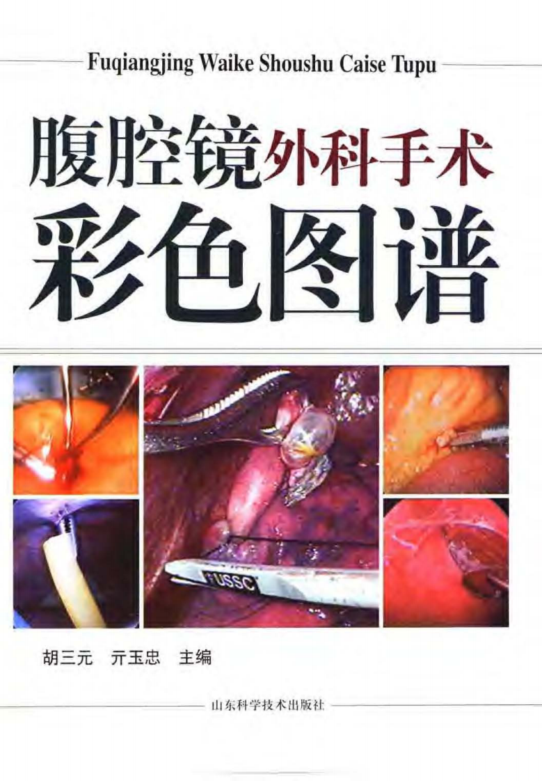 腹腔镜外科手术彩色图谱.pdf 第3页