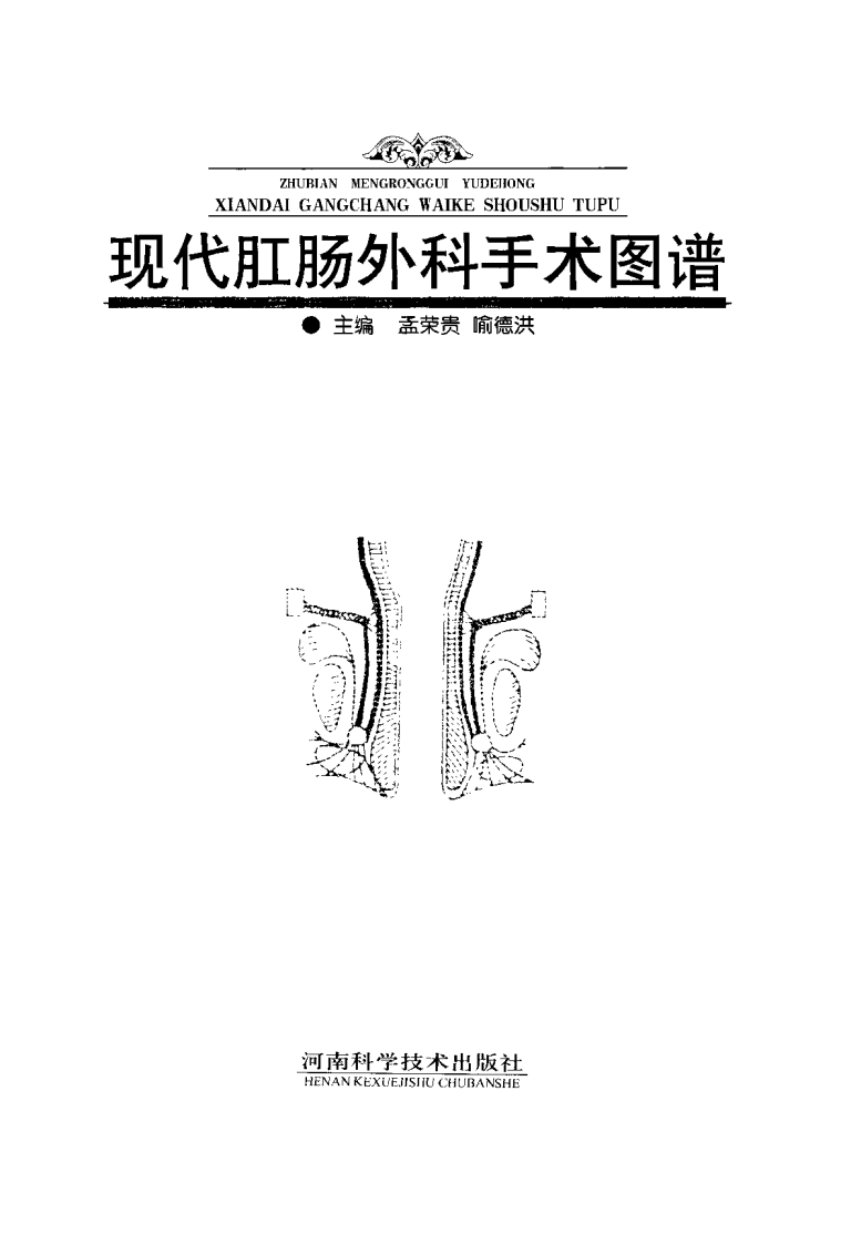 现代肛肠外科手术图谱.pdf 第3页