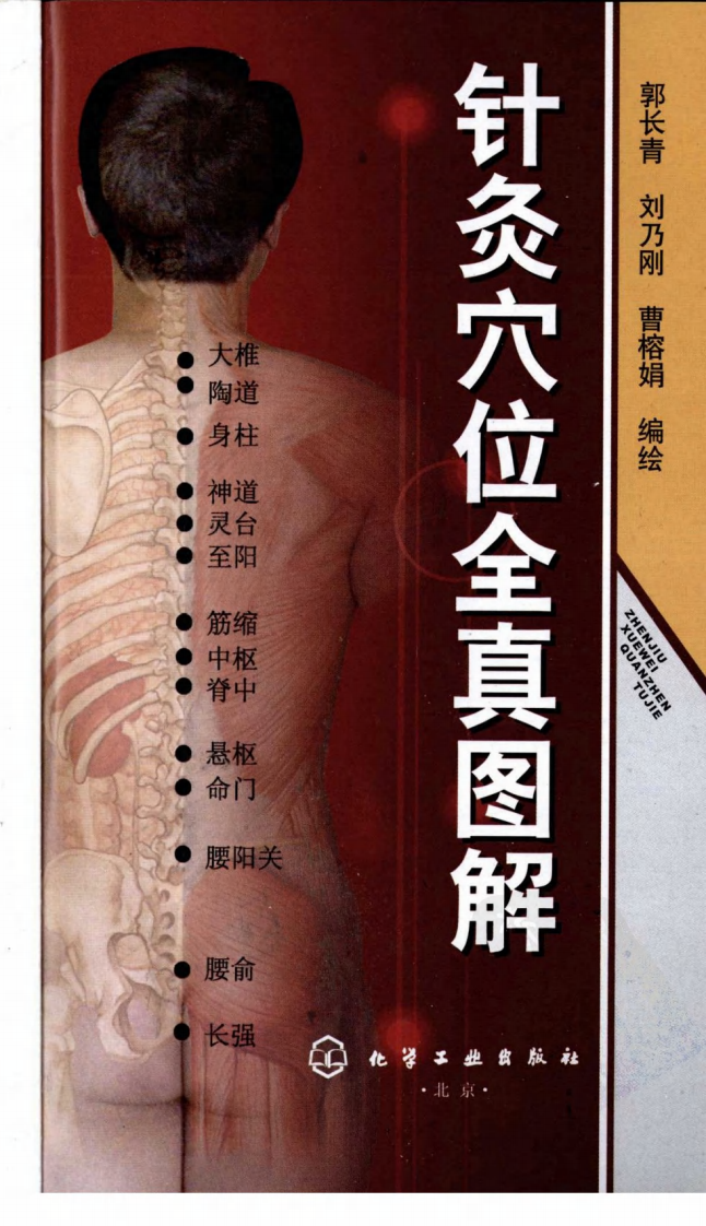 针灸穴位全真图解（超清版）.pdf 第3页