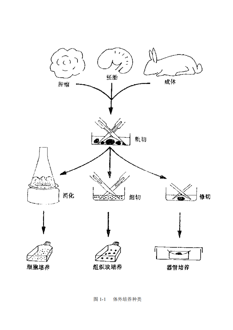 《组织培养技术与分子细胞学技术》[公众微信号：bioworlde].pdf 第4页