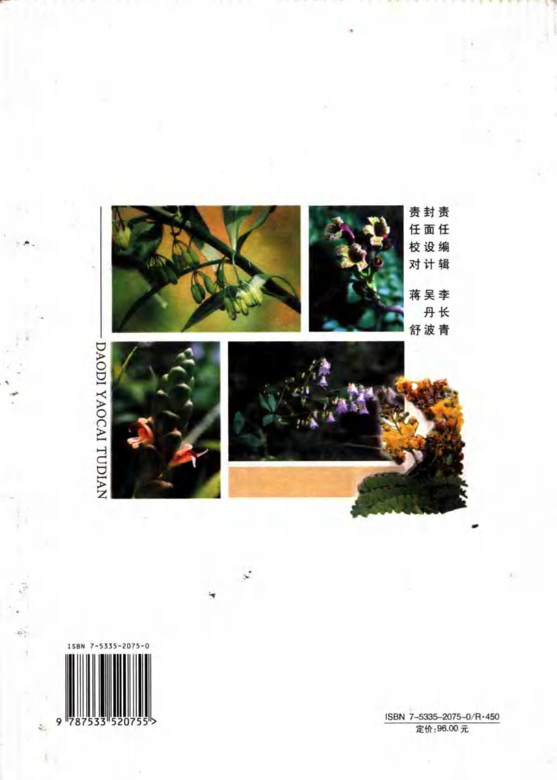 道地药材图典（西南卷）.pdf 第2页