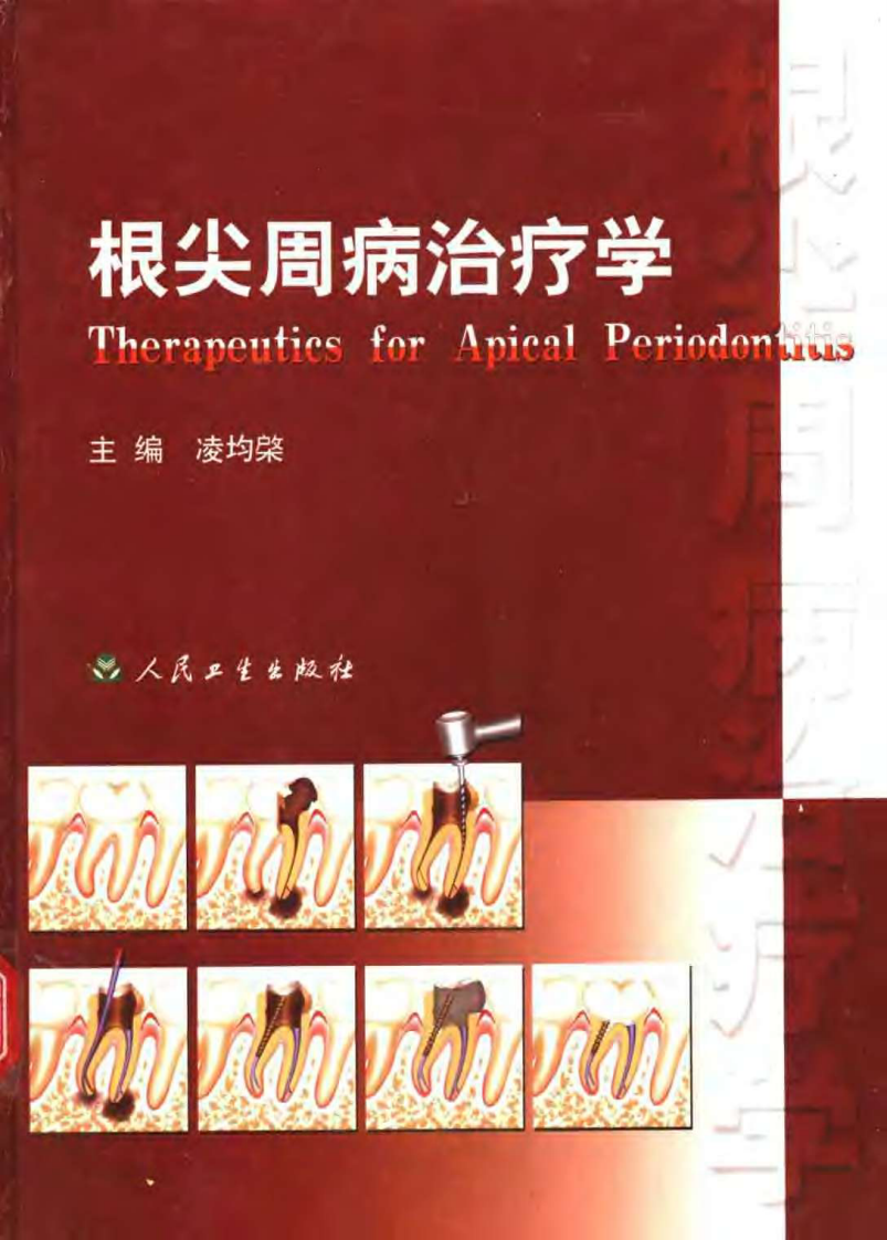 根尖周病治疗学.pdf 第1页