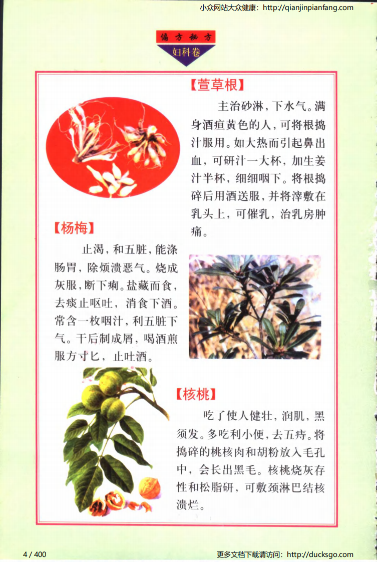 实用偏方秘方经典 - 妇科（张家林）.pdf 第4页