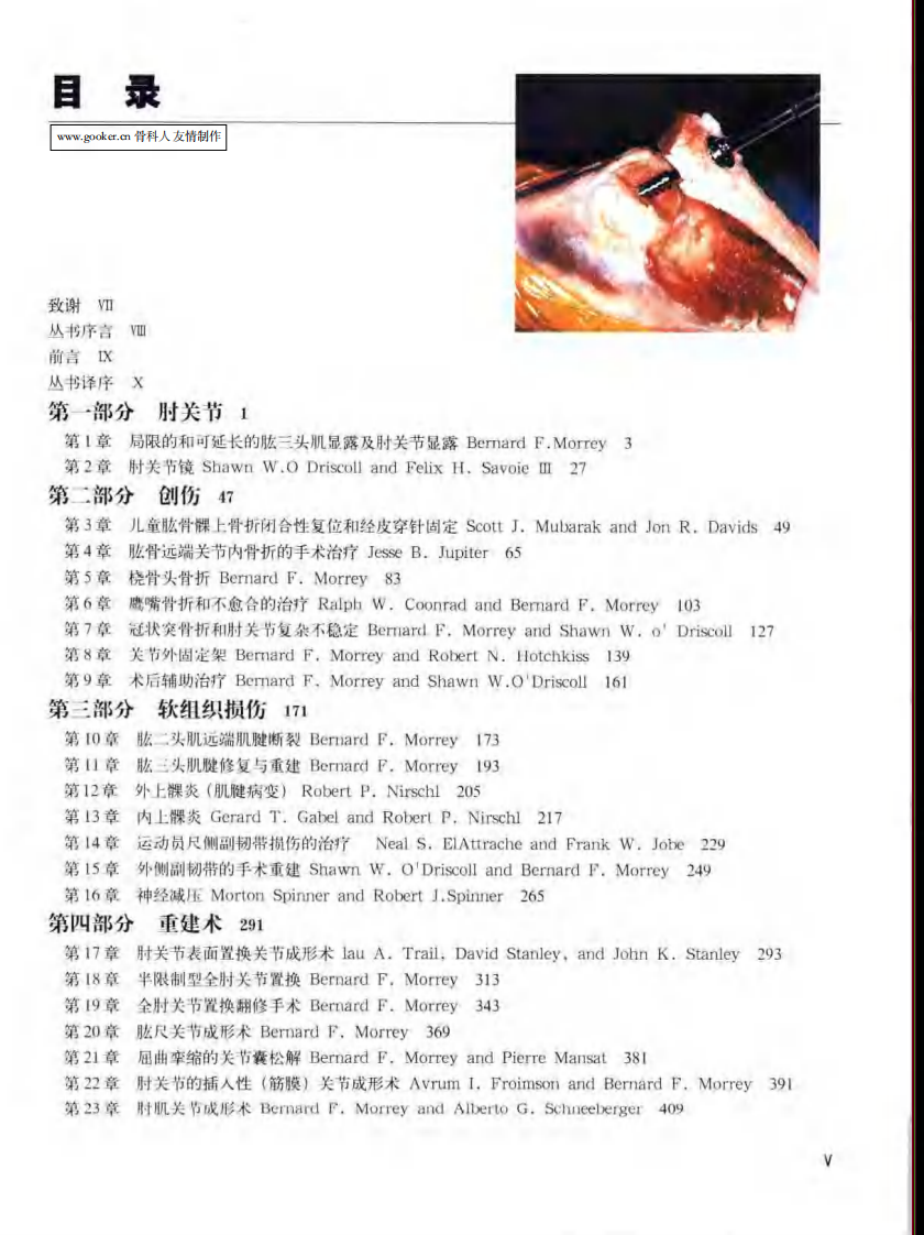 骨科标准手术技术丛书 — 肘.pdf 第1页