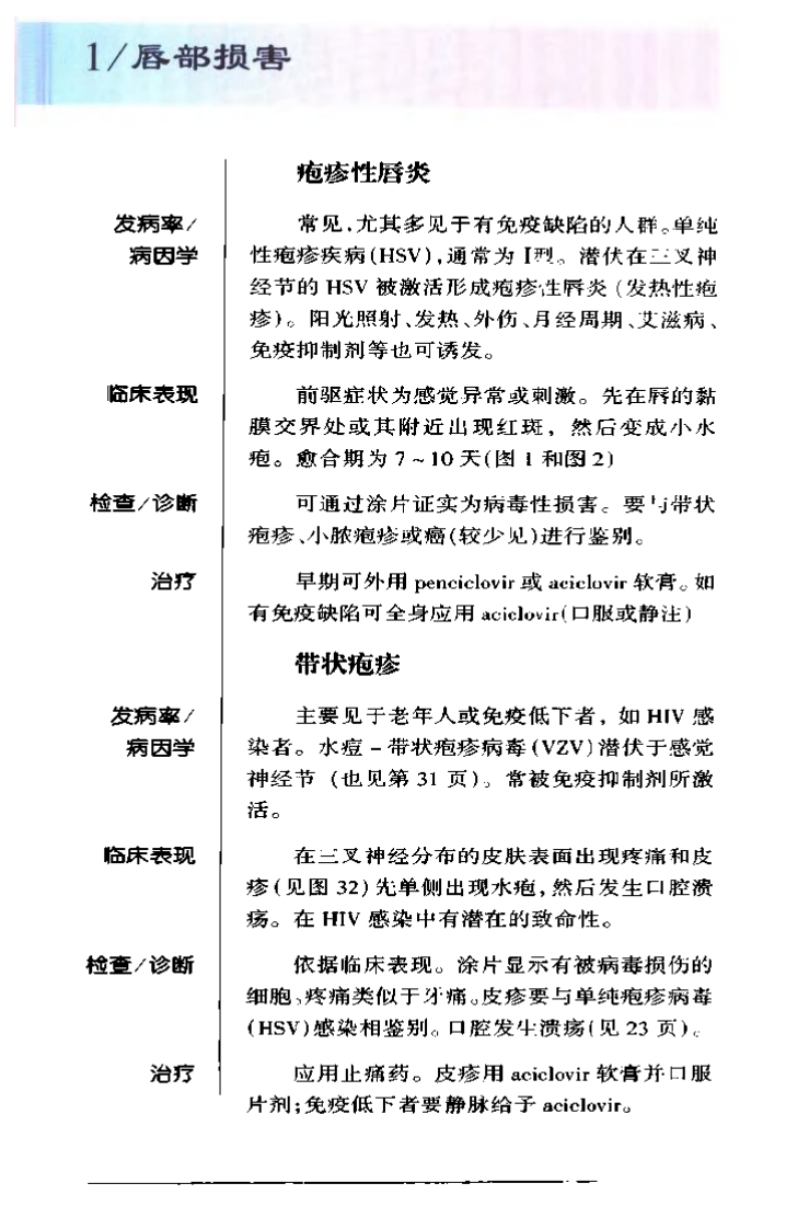 袖诊疗彩色图谱系列 口腔疾病[英]斯卡利（Scully，C.）编著.pdf 第3页