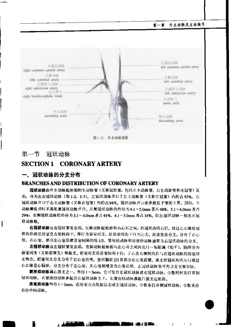 临床血管解剖学（彩图版）.pdf 第3页