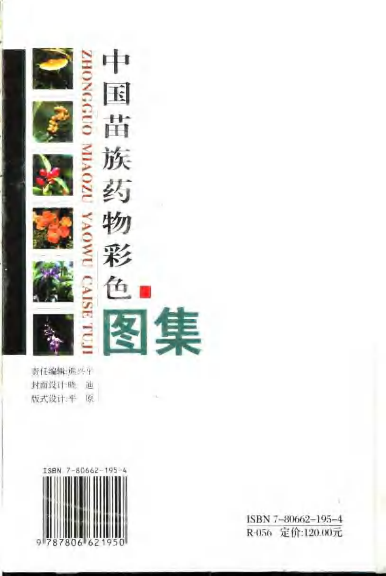 中国苗族药物彩色图集.pdf 第2页