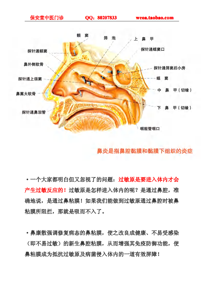 揭秘！慢性鼻炎.pdf 第2页