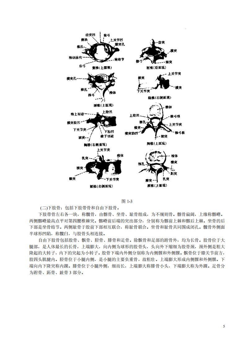 中国脊疗（田学主）.pdf 第5页