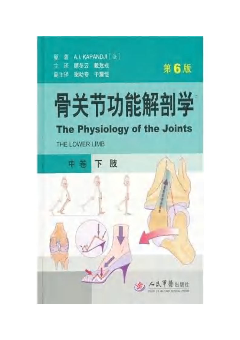 骨关节功能解剖学 （第6版）(中卷)  下肢 卡潘德吉(A.I.Kapandji).pdf 第1页