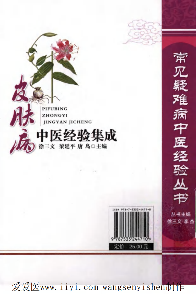 皮肤病中医经验集成.pdf 第2页
