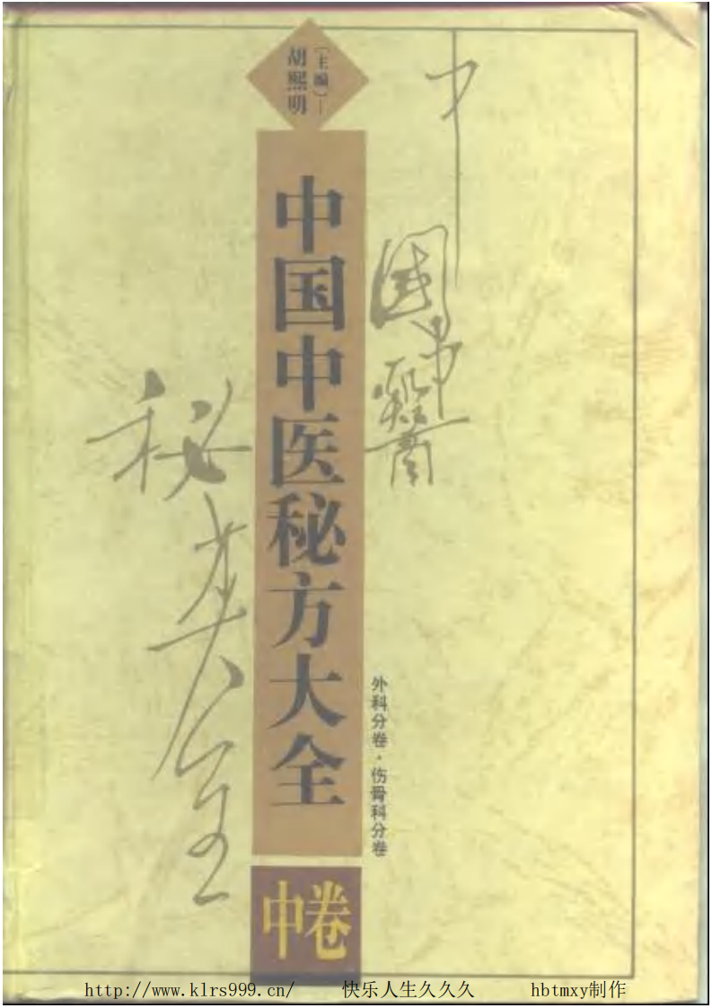中国中医秘方大全·中.pdf 第1页