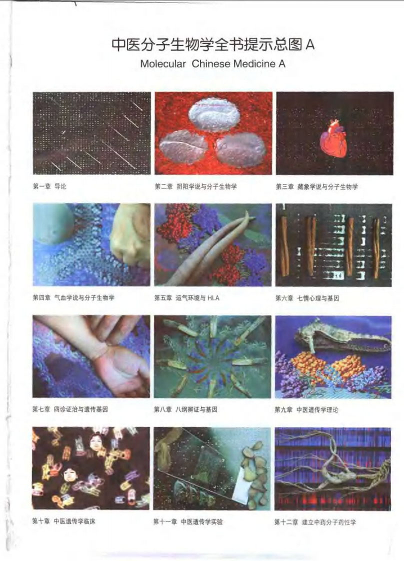 中医分子生物学（王米渠）.pdf 第1页