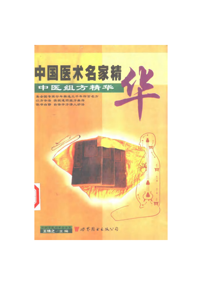 中国医术名家精华丛书：中医组方精华（扫描版）.pdf 第1页