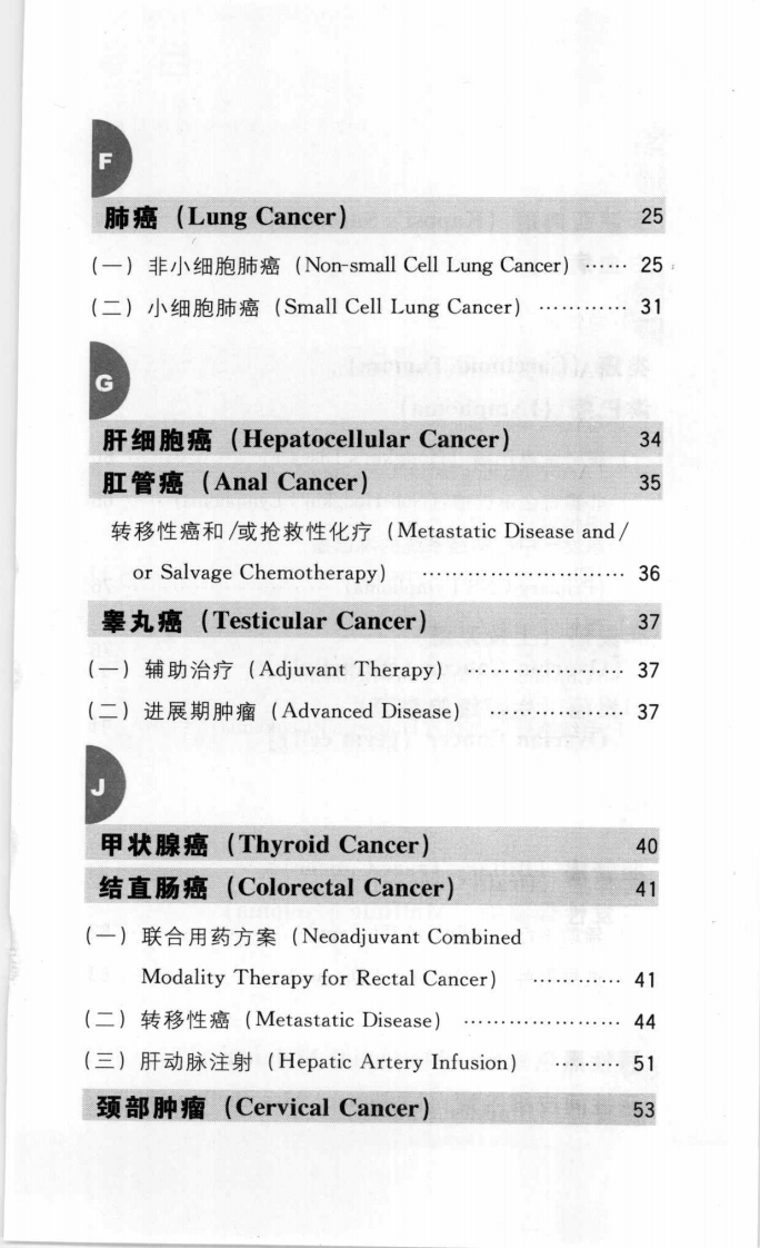 国际化疗标准方案速查（原著第三版）.pdf 第5页