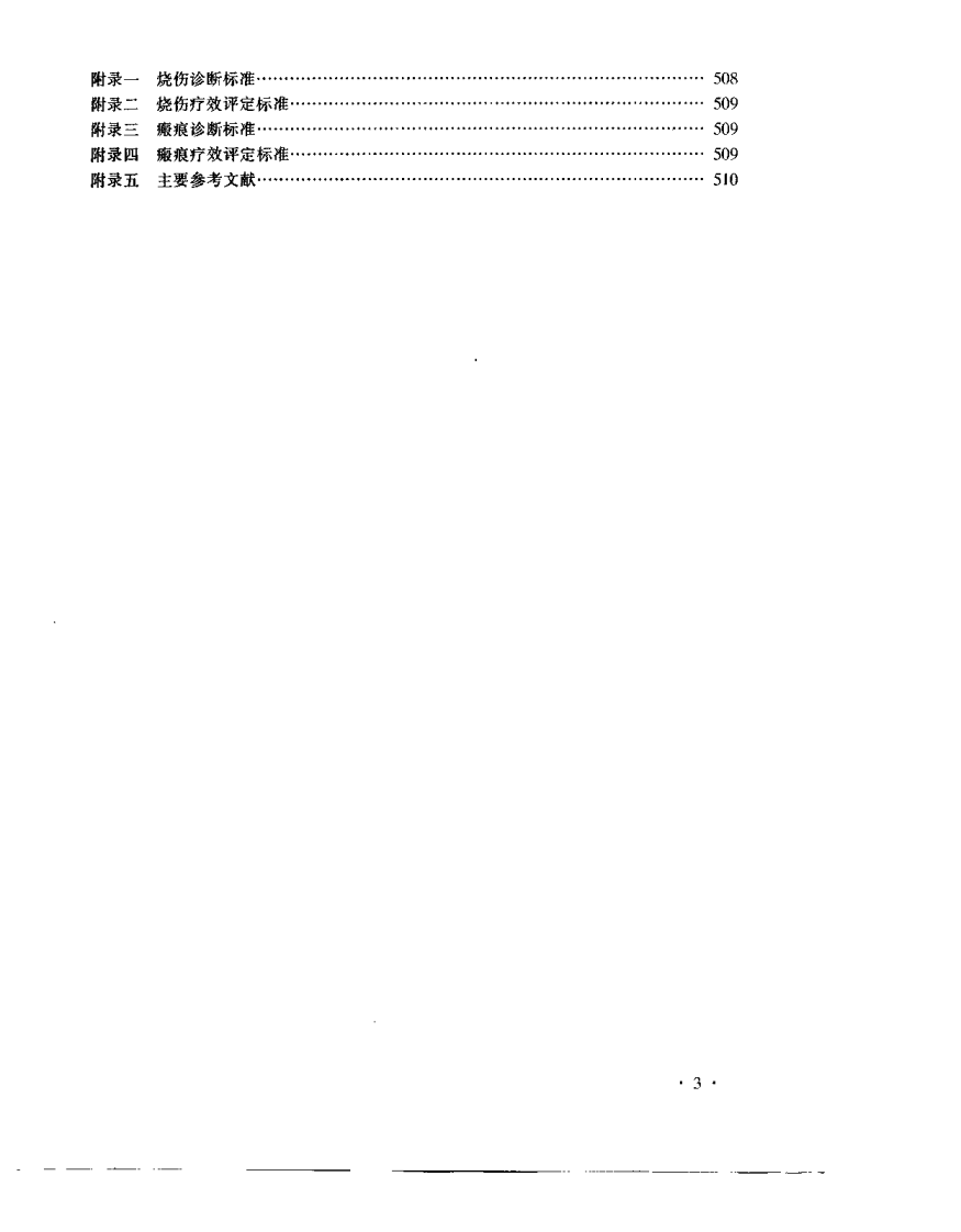 中医药烧伤治疗学（丁宝财）.pdf 第4页