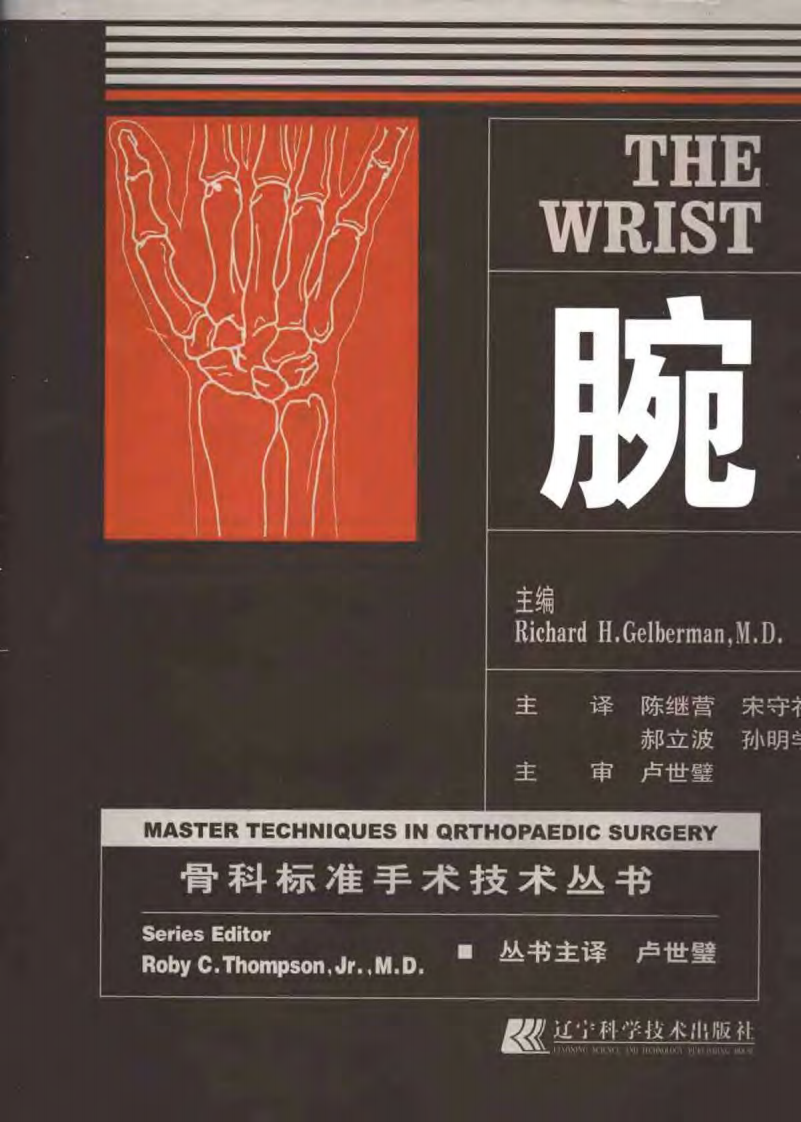 骨科标准手术技术丛书—腕.pdf 第1页