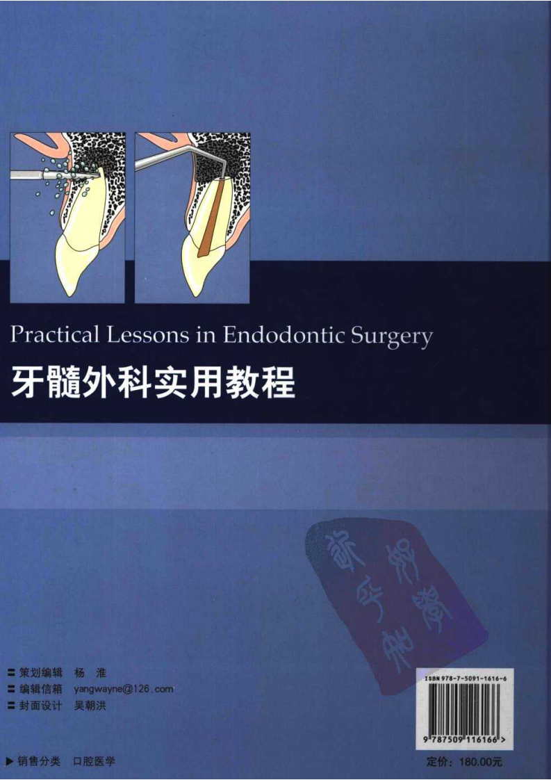 牙髓外科实用教程.pdf 第2页