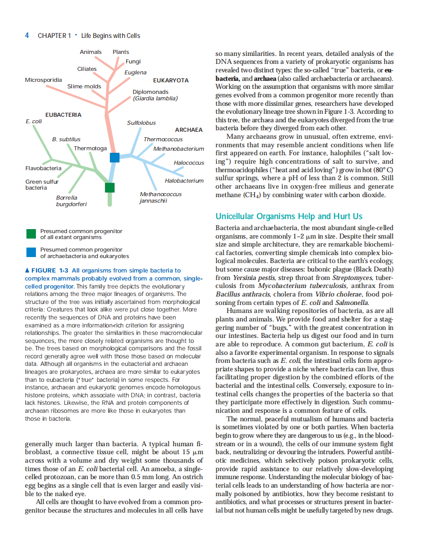 【分子细胞】Molecular Cell Biology 6ed.pdf 第4页