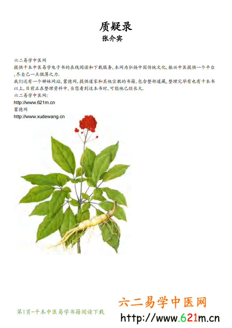 质疑录.pdf 第1页