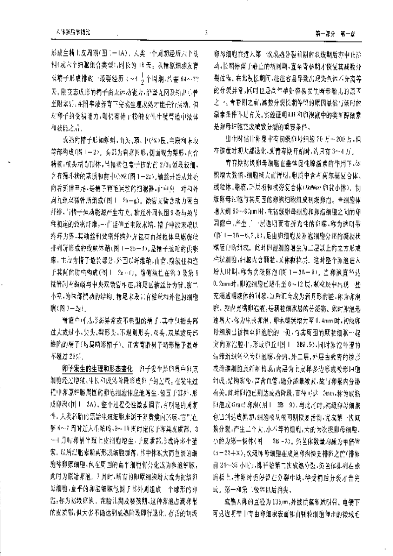 中国人胚胎发生发育实例图谱.pdf 第3页