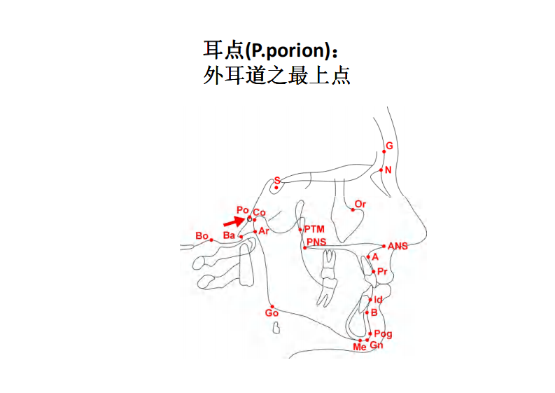 163（电子书）正畸解剖标志点.pdf 第4页