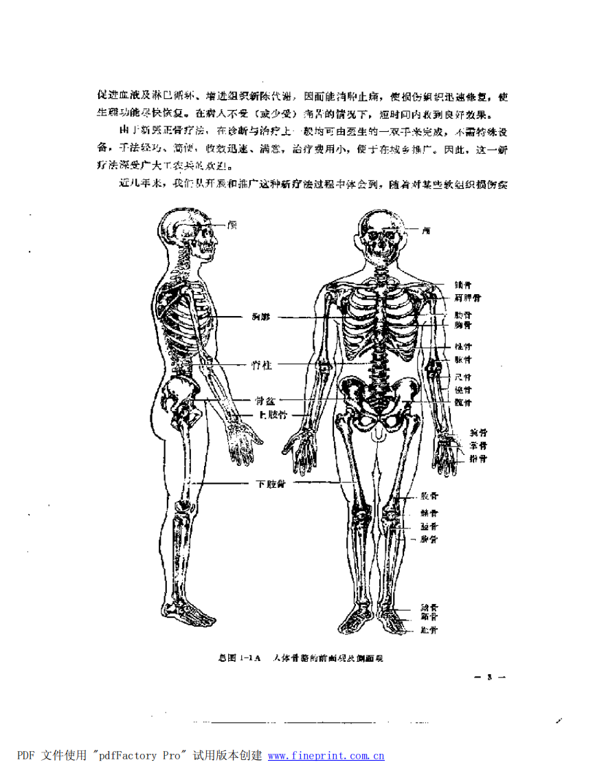 中西医结合治疗软组织损伤（冯天友）.pdf 第3页