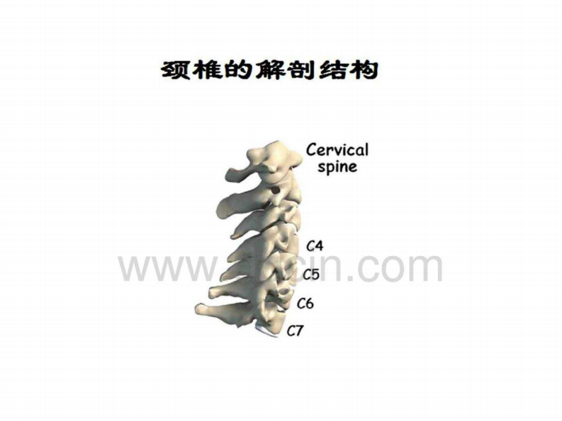 专家图解颈椎病的预防与保健.pdf 第2页