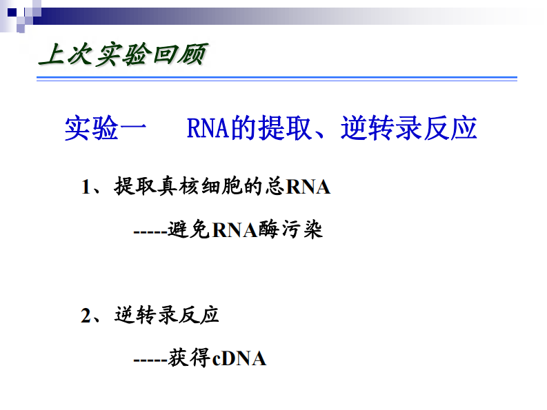 第二次课PCR T-A 连接实验 课件.pdf 第4页