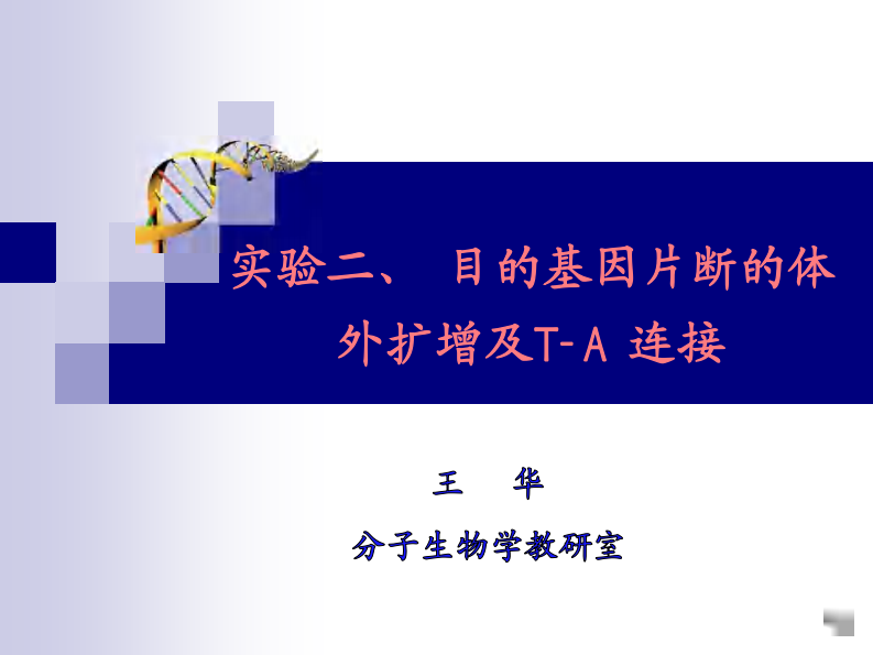 第二次课PCR T-A 连接实验 课件.pdf 第2页