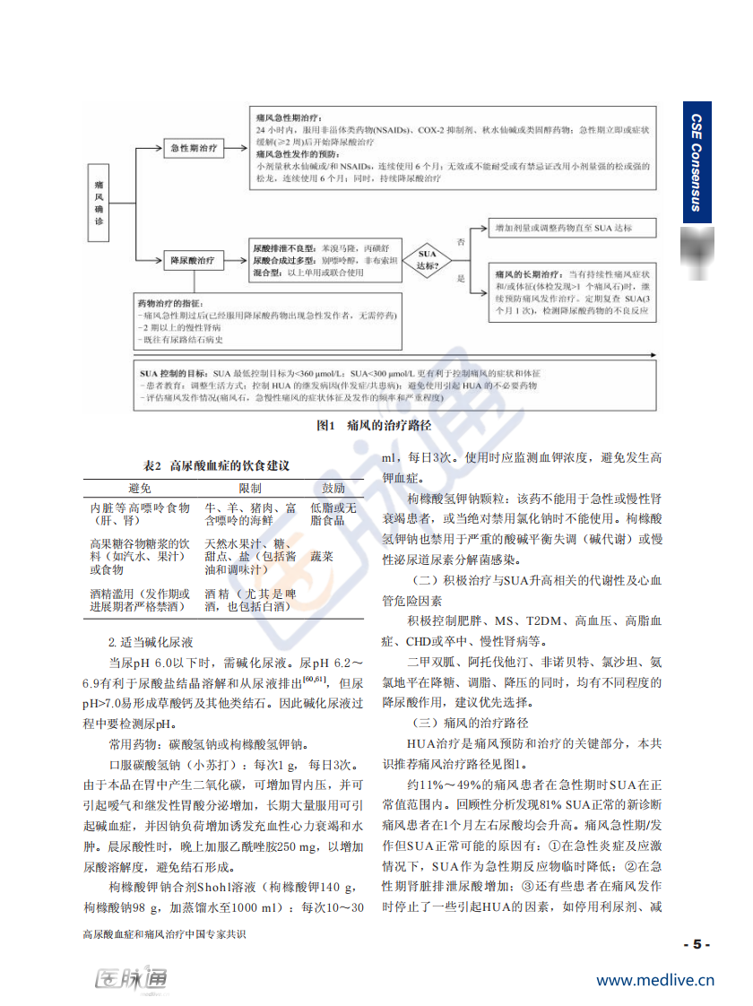 高尿酸血症和痛风治疗中国专家共识.pdf 第5页