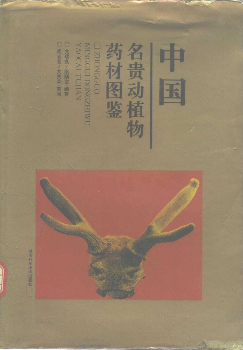 中国名贵动植物药材图鉴.pdf 第1页