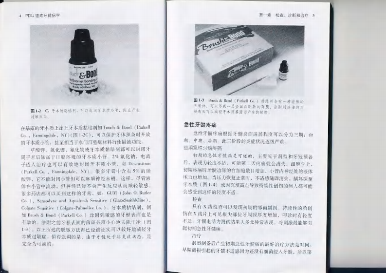 PDQ速成牙髓病学——更多口腔专业知识，请访问：牙医圈www.yayiquan..pdf 第4页