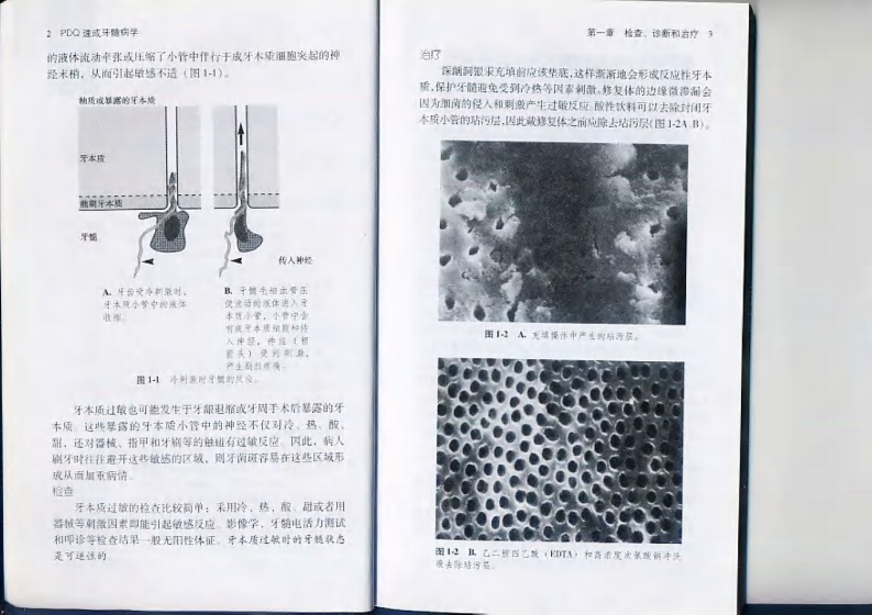 大川分享_PDQ速成牙髓病学.pdf 第3页