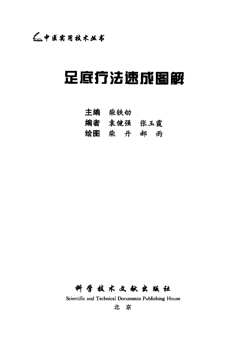 中医实用技术丛书—足底疗法速成图解（高清版）.pdf 第3页